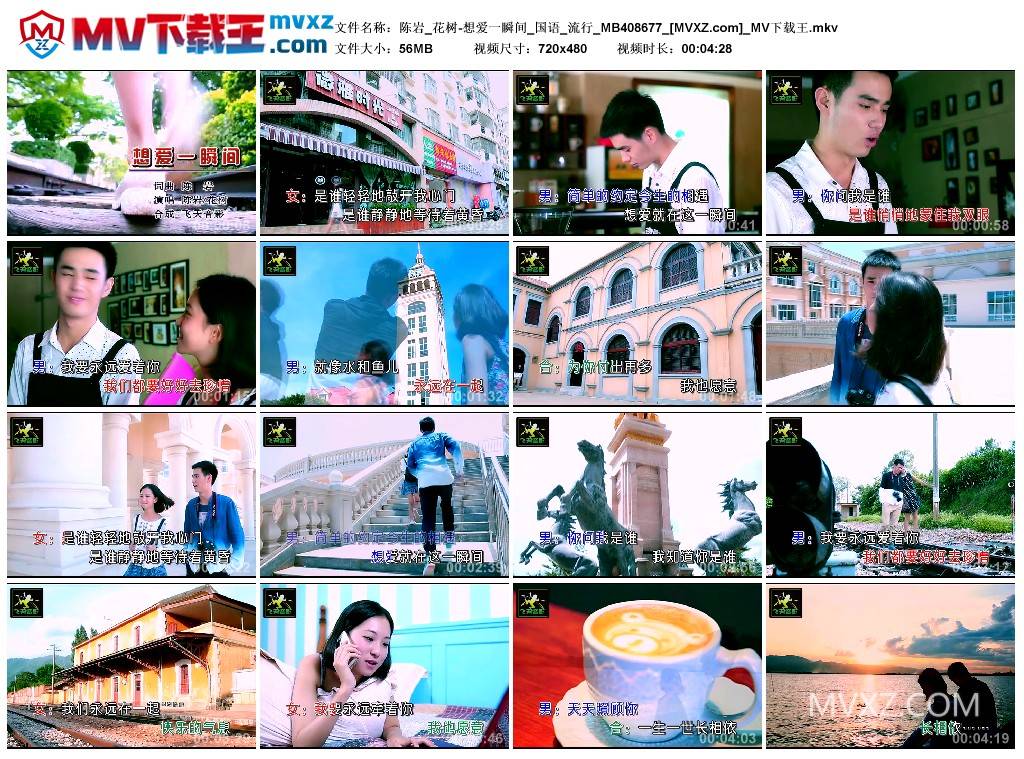 陈岩_花树-想爱一瞬间_国语_流行_MB408677